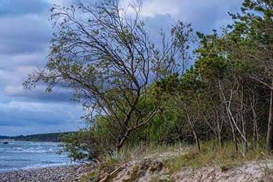 Dash: Geometry Dash, Doordash, & Beyond: The Data Behind "Dash