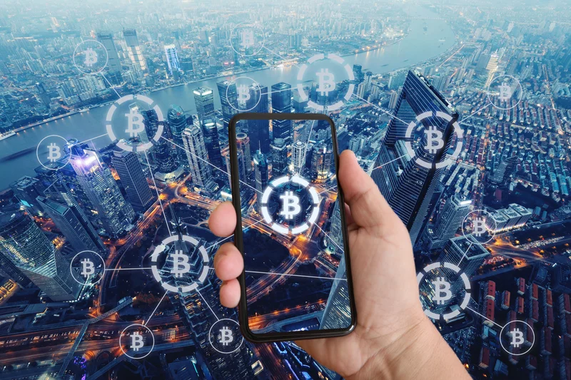 Wood's $1.5M Bitcoin: A Data Reality Check (Reddit Skepticism Intensifies)